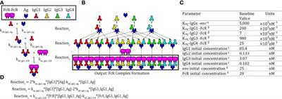 A Quantitative Approach to Unravel the Role of Host Genetics in IgG-FcγR Complex Formation After Vaccination